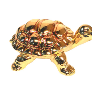 TORTOISE - GOLD RED MATT FINISH UP 01