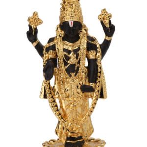 standing-balaji